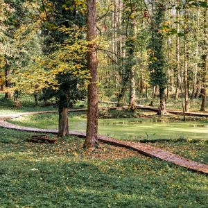 Park Lednické Rovne 2